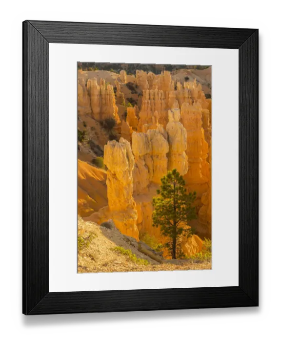 Framed Print : USA, Utah, Bryce Canyon National Park. Rock formations Framed Print : USA, Utah, Bryce Canyon National Park. Rock formations