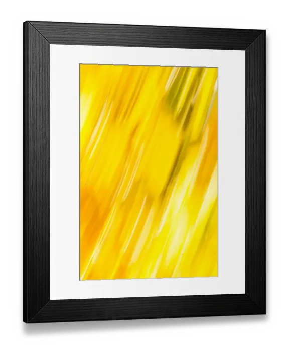 Framed Print : Walla Walla County, WA, USA. Abstracted fall colors at Walla Wallas Pioneer Park