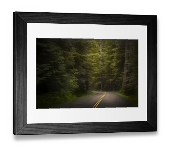Framed Print : USA, Washington, Olympic National Park. Western hemlock trees line road. Credit as Framed Print : USA, Washington, Olympic National Park. Western hemlock trees line road. Credit as