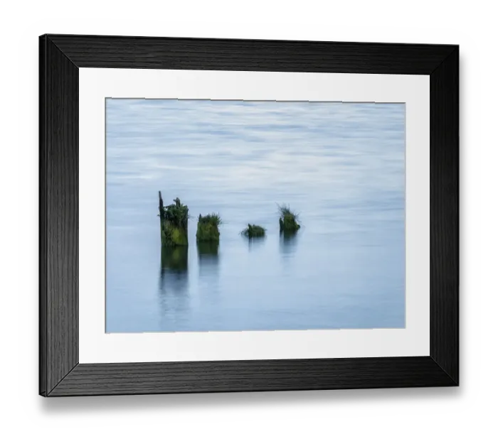 Framed Print : USA, Washington, Old pilings near Cape Disappointment Framed Print : USA, Washington, Old pilings near Cape Disappointment