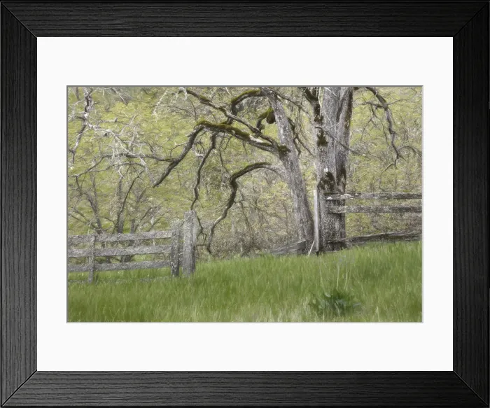 Framed Print : USA, Washington, Columbia River Gorge National Scenic Area Framed Print : USA, Washington, Columbia River Gorge National Scenic Area