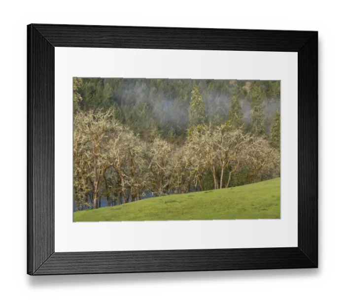 Framed Print : USA, Oregon, Whistlers Bend County Park Framed Print : USA, Oregon, Whistlers Bend County Park