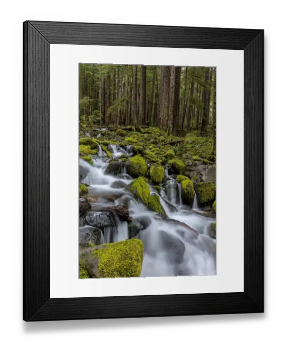Framed Print : Small lush creek in the Sol Duc Valley of Olympic National Park, Washinton, USA Framed Print : Small lush creek in the Sol Duc Valley of Olympic National Park, Washinton, USA