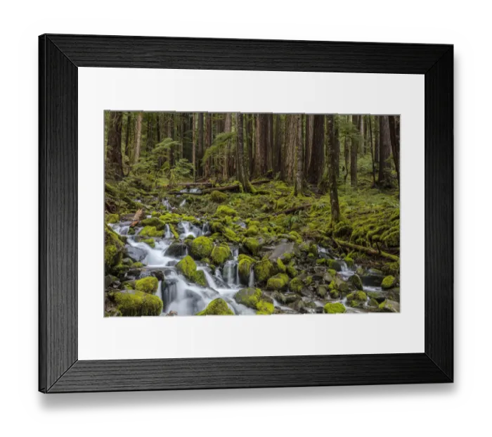 Framed Print : Small lush creek in the Sol Duc Valley of Olympic National Park, Washinton, USA