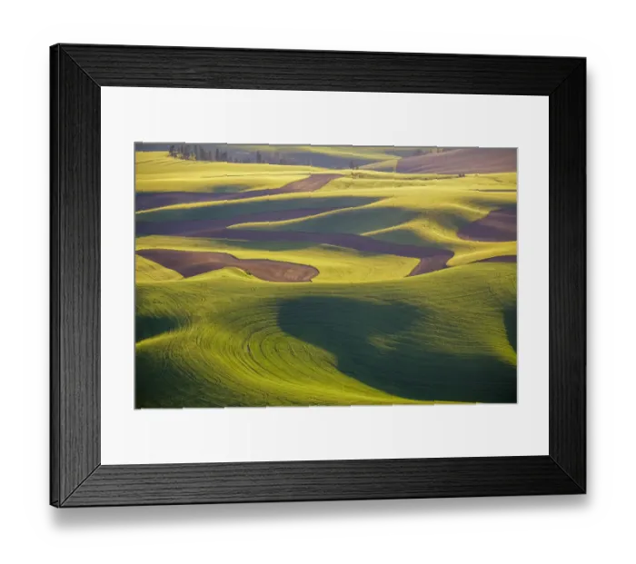 Framed Print : USA, Washington, Palouse, Aerial view, Rolling farmland
