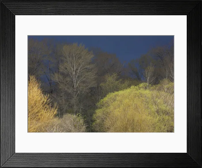 Framed Print : Shades of Early Spring Framed Print : Shades of Early Spring
