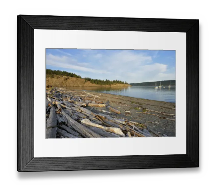 Framed Print : USA, Washington, San Juan Islands, Lopez Island, Driftwood logs on the gravel beach Framed Print : USA, Washington, San Juan Islands, Lopez Island, Driftwood logs on the gravel beach