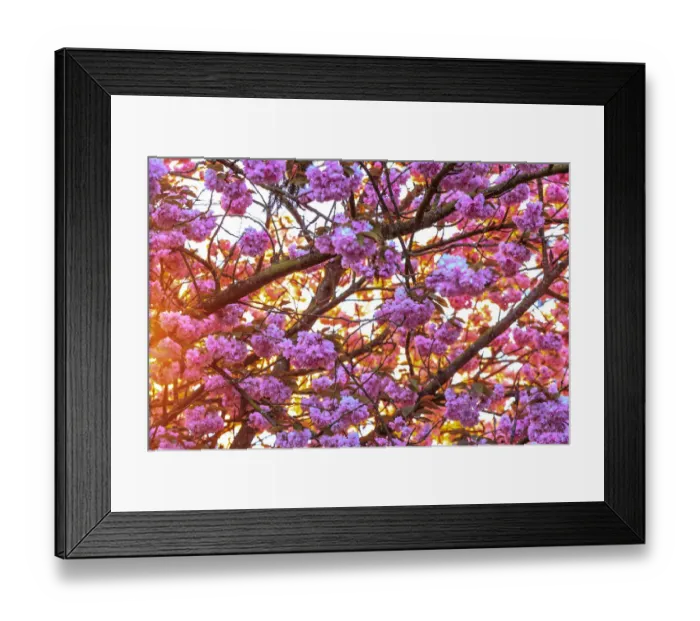 Framed Print : Mill Creek, North America, Snohomish County, USA, United States, WA, Washington, Washington State Framed Print : Mill Creek, North America, Snohomish County, USA, United States, WA, Washington, Washington State