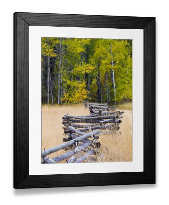 Framed Print : North America; USA; Washington; North Cascades National Park Framed Print : North America; USA; Washington; North Cascades National Park