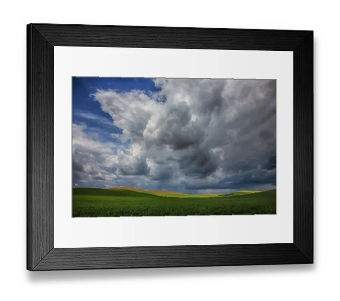 Framed Print : North America; USA; Washington; Palouse Country; Spring Rolling Hills of Wheat and Fallow