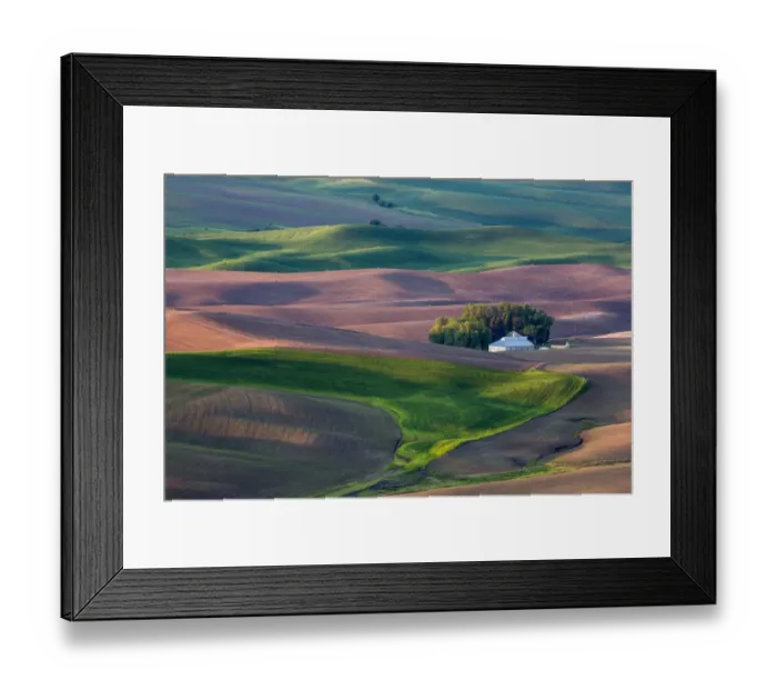 Framed Print : North America; USA; Washington; White House in Spring Wheat Field Framed Print : North America; USA; Washington; White House in Spring Wheat Field