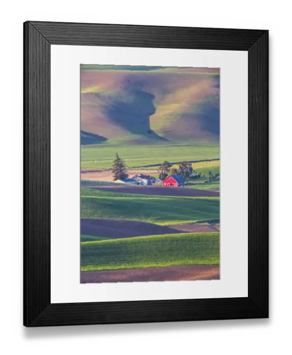 Framed Print : North America; USA; Washington; Red Barn in Spring
