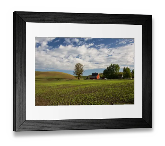 Framed Print : North America; USA; Washington; Red Barn in Spring