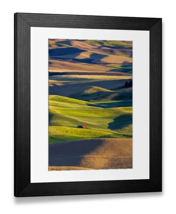 Framed Print : North America;USA Washington;Red Barn in Fields of Spring & Winter Wheat Framed Print : North America;USA Washington;Red Barn in Fields of Spring & Winter Wheat