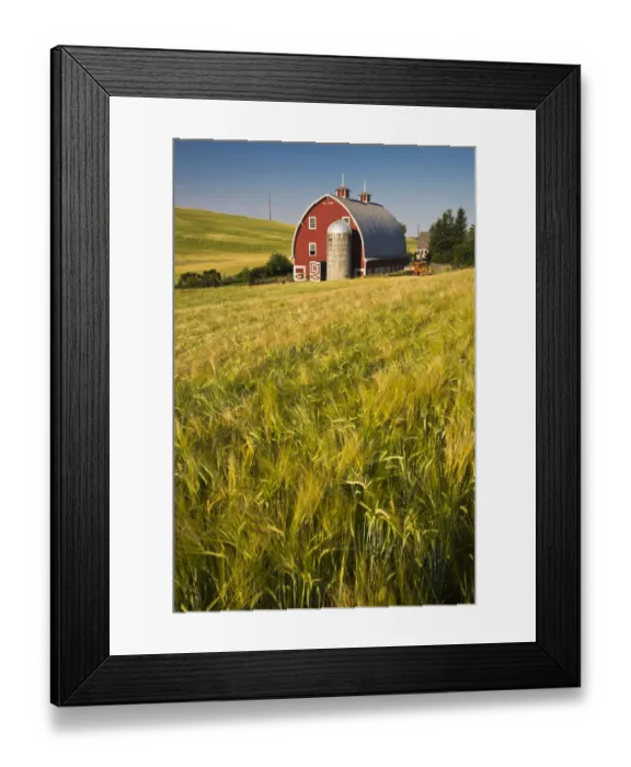 Framed Print : North America; USA Washington; Red Barn in Field of Harvest Wheat Framed Print : North America; USA Washington; Red Barn in Field of Harvest Wheat