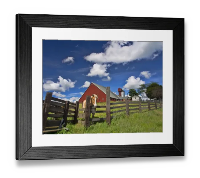 Framed Print : North America; USA; Washington; Palouse Country; Colfax; Old Red Barn with Fence and Horse Framed Print : North America; USA; Washington; Palouse Country; Colfax; Old Red Barn with Fence and Horse
