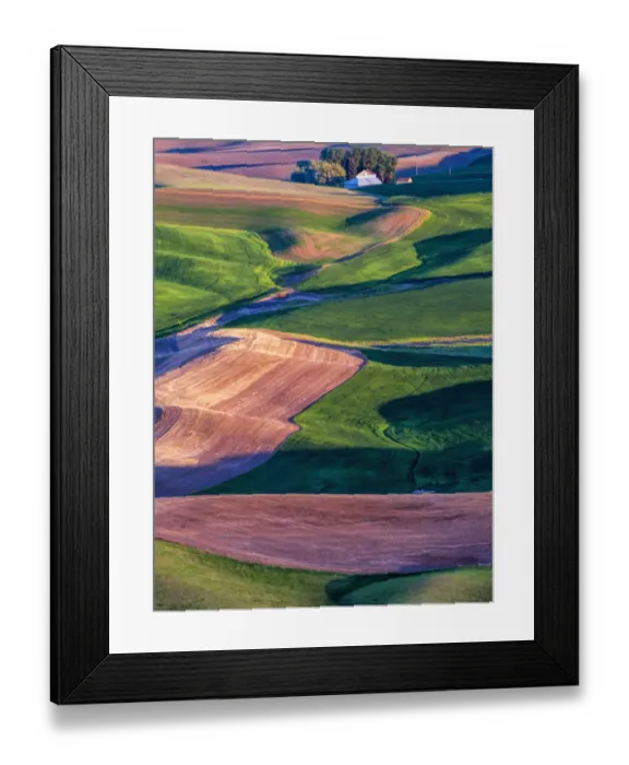 Framed Print : North America; USA; Washington; Palouse Country; Barn in Spring Wheat Fields Framed Print : North America; USA; Washington; Palouse Country; Barn in Spring Wheat Fields