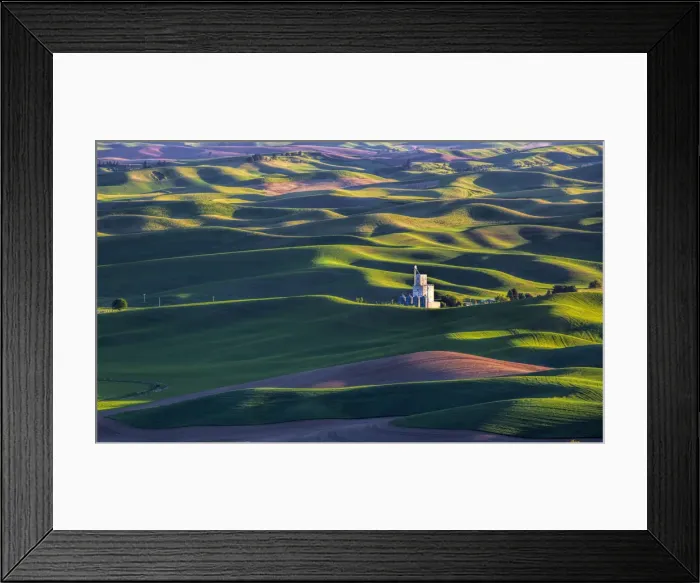Framed Print : North America; USA; Washington; Steptoe; Old Silo in Spring Wheat Field