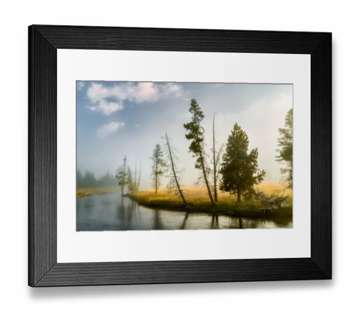 Framed Print : Trees and mist at sunrise along Firehole River, , Upper Geyser Basin, Yellowstone National Park Framed Print : Trees and mist at sunrise along Firehole River, , Upper Geyser Basin, Yellowstone National Park