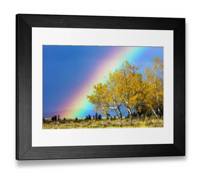 Framed Print : Rainbow over Aspens, Grand Teton National Park, Wyoming