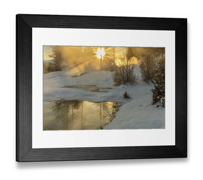 Framed Print : Sunrise greets Grassy Spring at Mammoth Hot Springs in Yellowstone National Park Framed Print : Sunrise greets Grassy Spring at Mammoth Hot Springs in Yellowstone National Park