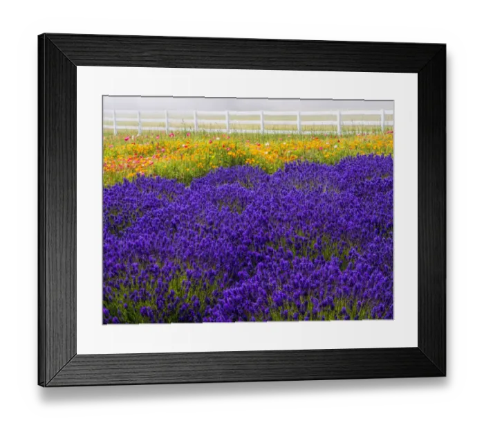 Framed Print : North America; USA; Washington