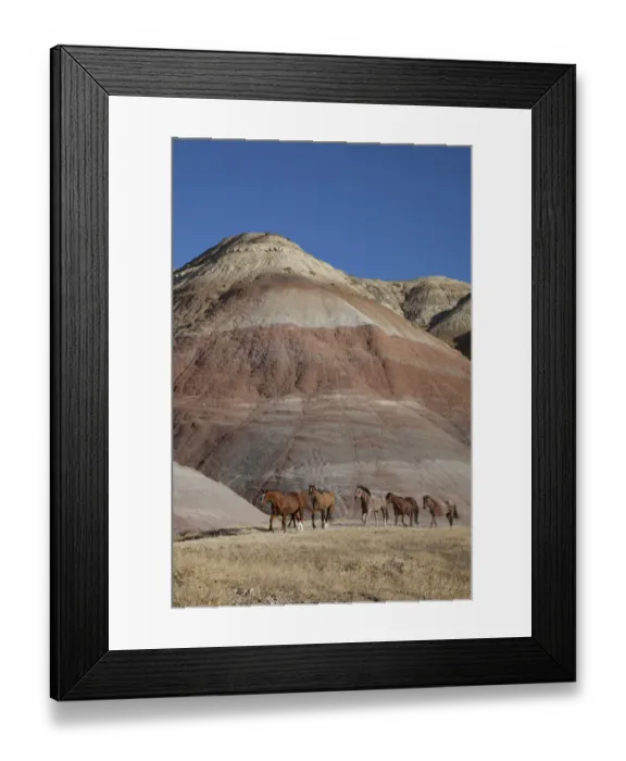 Framed Print : USA, Wyoming, Shell, The Hideout Ranch, Horses Walking in front of Painted Hills