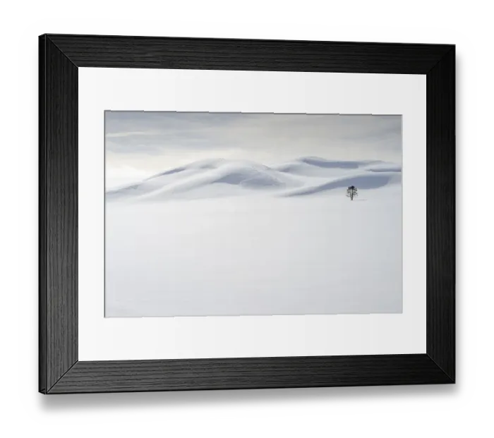 Framed Print : USA, Wyoming, Yellowstone National Park, winter, lone tree