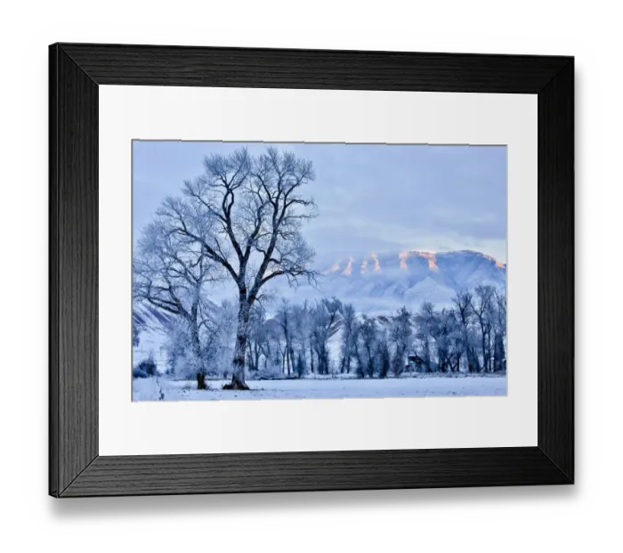 Framed Print : USA, Wyoming, Shell, Hoar Frost in the Valley, PR Framed Print : USA, Wyoming, Shell, Hoar Frost in the Valley, PR
