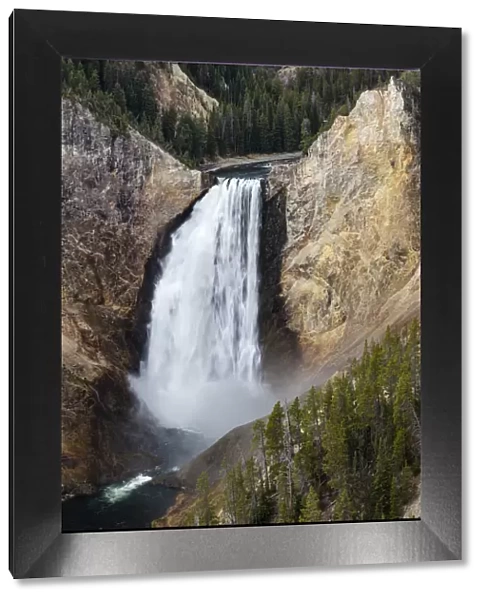 Lower falls from Lookout Point, Grand Canyon of the Yellowstone River, Yellowstone National Park