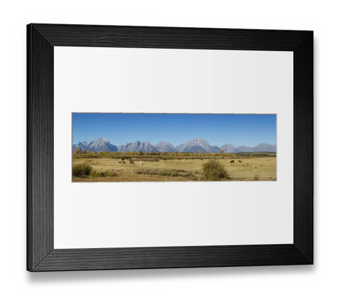 Framed Print : 67545-09009 Horses and Grand Teton Mountain Range in fall, Grand Teton National Park, WY