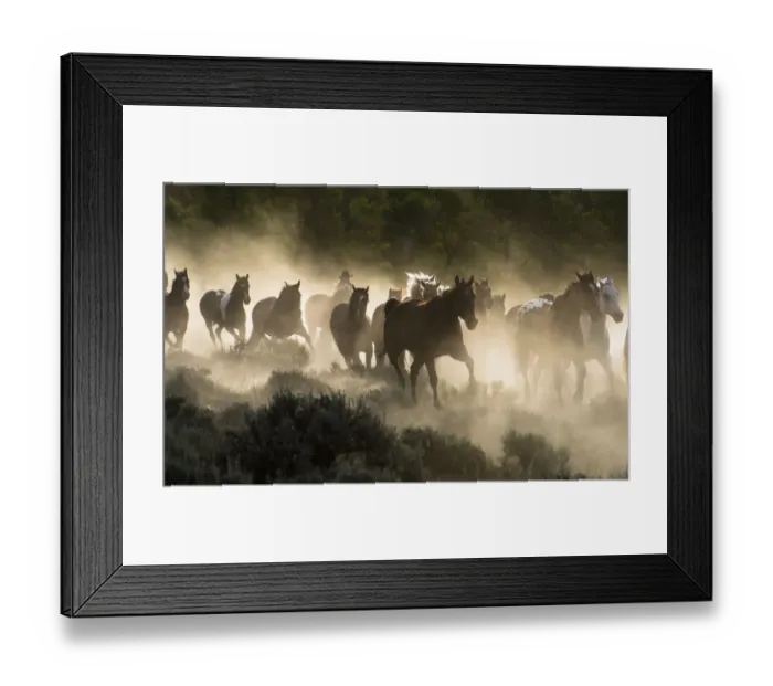 Framed Print : Horses being herded by a wrangler, backlit at sunrise Framed Print : Horses being herded by a wrangler, backlit at sunrise
