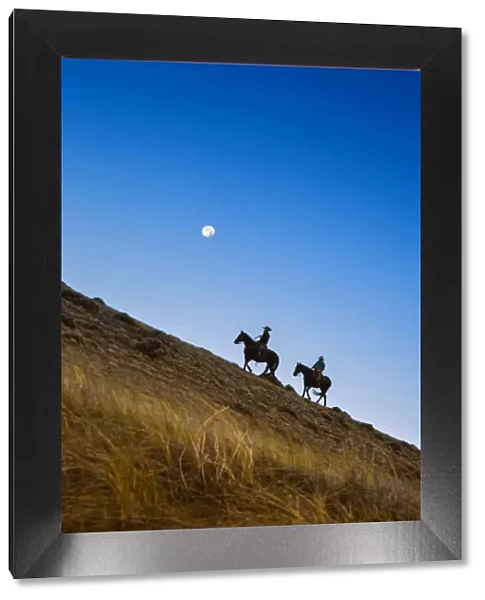 Two wranglers riding horses up a hill with full moon in backround at blue hour