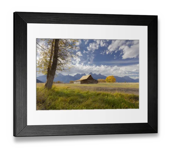 Framed Print : T. A. Moulton Barn, Mormon Row, Grand Teton National Park, Wyoming, USA Framed Print : T. A. Moulton Barn, Mormon Row, Grand Teton National Park, Wyoming, USA
