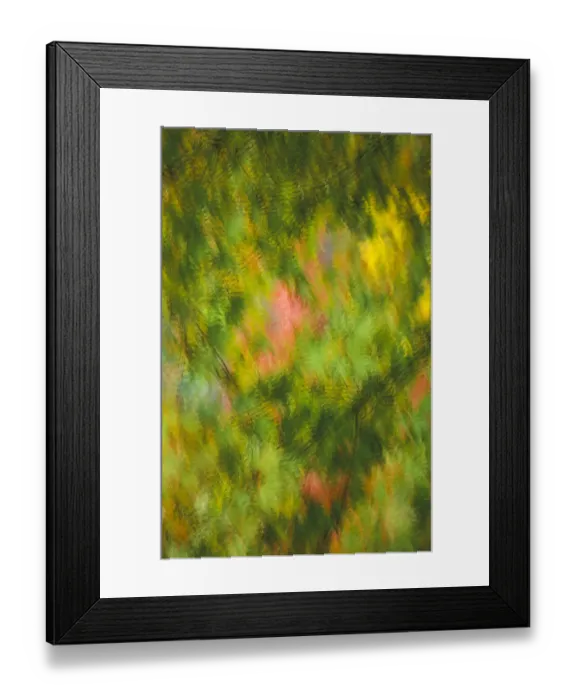 Framed Print : Blurry background image of green and orange fall leaves in golden light
