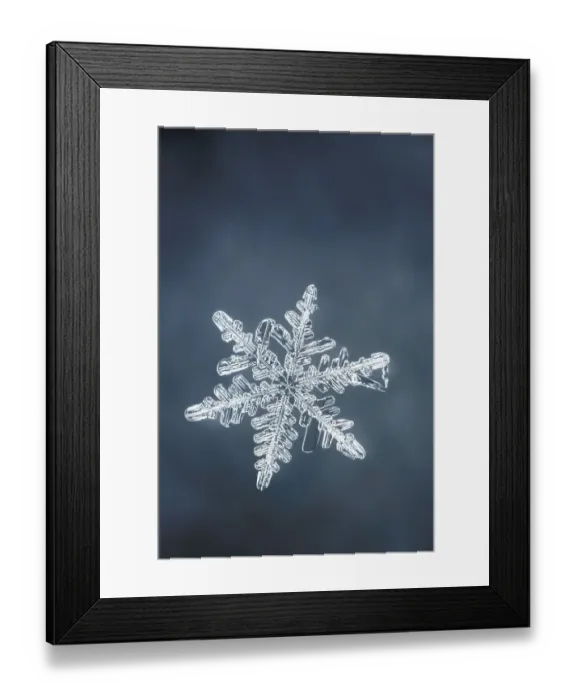 Framed Print : Single snowflake Framed Print : Single snowflake