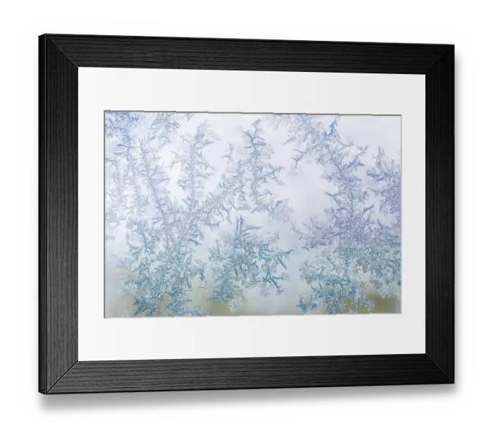 Framed Print : Frost pattern on window