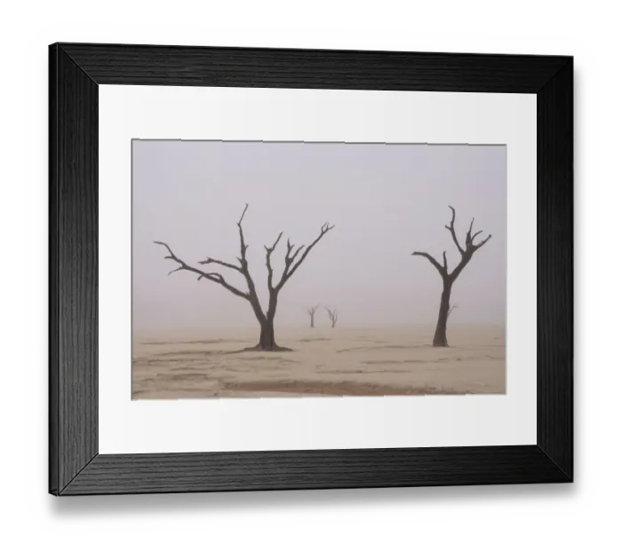 Framed Print : Namibia. Fog shrouds the dead acacia trees in Deadvlei, within Namib Naukluft National Framed Print : Namibia. Fog shrouds the dead acacia trees in Deadvlei, within Namib Naukluft National