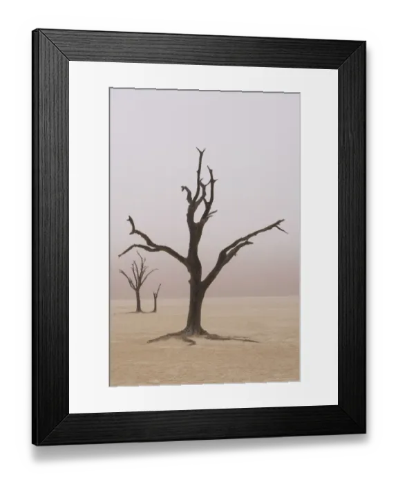 Framed Print : Namibia. Fog shrouds the dead acacia trees in Deadvlei, within Namib Naukluft National Framed Print : Namibia. Fog shrouds the dead acacia trees in Deadvlei, within Namib Naukluft National