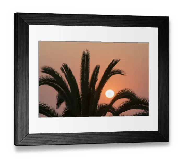 Framed Print : Namibia. Setting sun and a silhouetted palm tree, Swakopmund