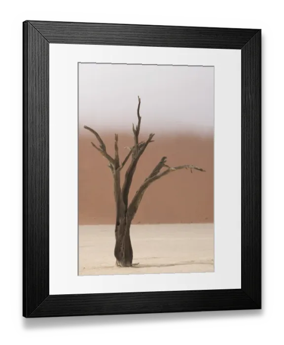 Framed Print : Ancient dead camelthorn acacia trees in the dry lakebed of Deadvlei, Namib-Naukluft National Park Framed Print : Ancient dead camelthorn acacia trees in the dry lakebed of Deadvlei, Namib-Naukluft National Park