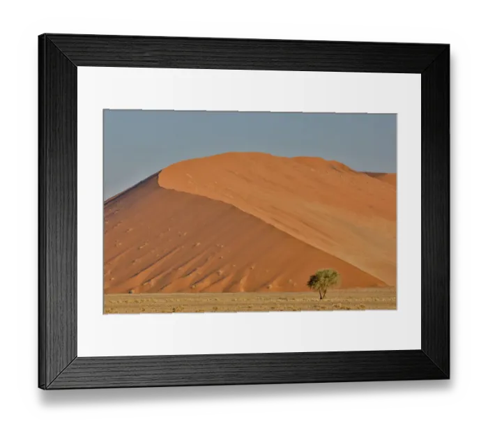 Framed Print : Lone tree and tall sand dune, Sossusvlei Namibia