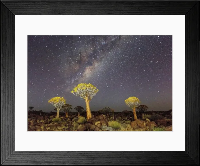 Framed Print : Quiver trees landscape at night with Milky Way, Namibia