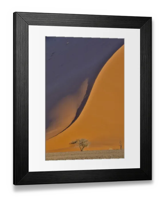 Framed Print : Lone tree and tall sand dune, Sossusvlei Namibia Framed Print : Lone tree and tall sand dune, Sossusvlei Namibia