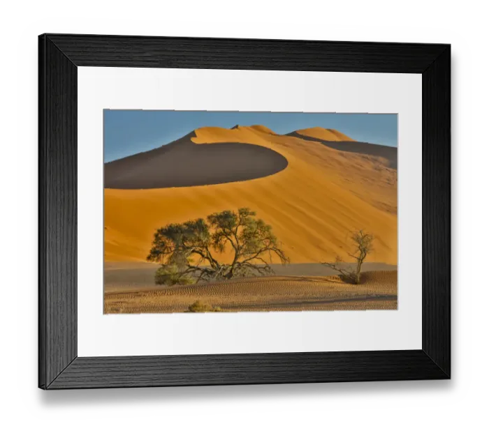 Framed Print : Morning light on the sand dunes of Sossusvlei, Namibia Framed Print : Morning light on the sand dunes of Sossusvlei, Namibia