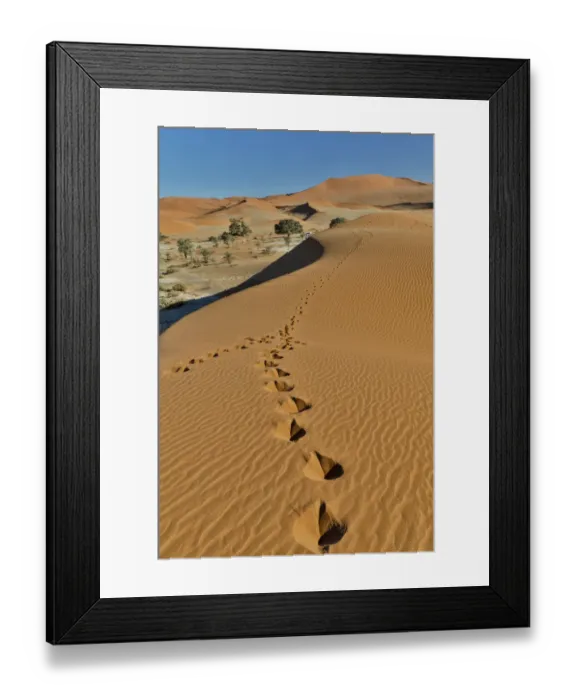 Framed Print : Sand ripple patterns in the desert of Sossusvlei, Namibia with tracks of an Oryx