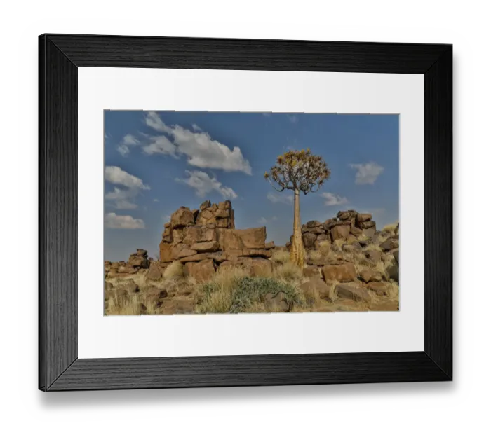 Framed Print : Quiver trees landscape, Namibia