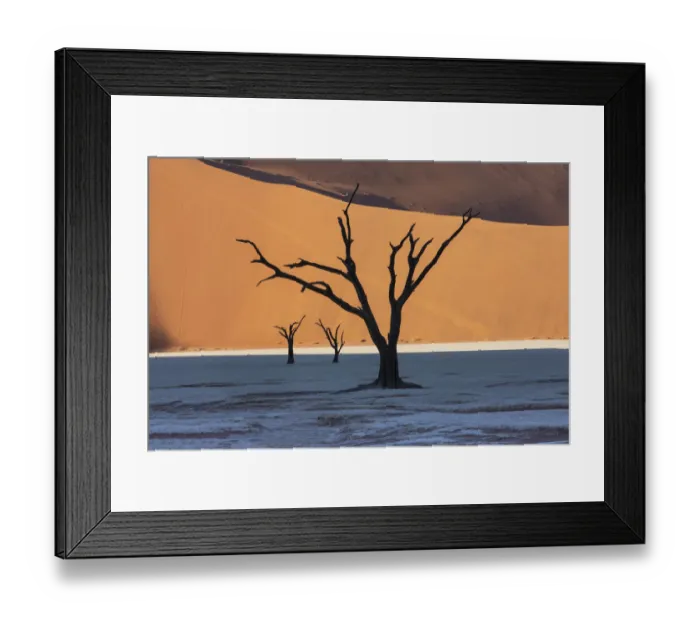 Framed Print : Dead silhouetted trees in Deadvlei, Sossusvlei, Namibia Framed Print : Dead silhouetted trees in Deadvlei, Sossusvlei, Namibia