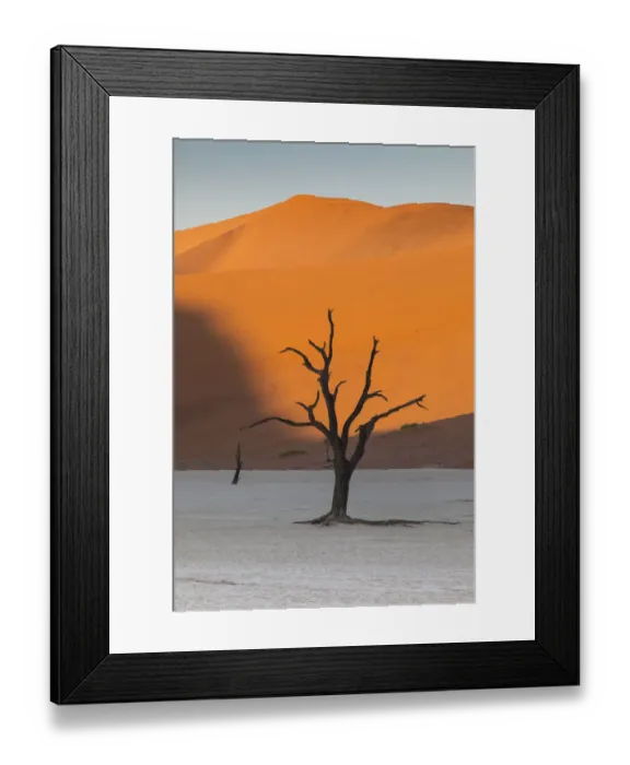 Framed Print : Dead silhouetted trees in Deadvlei, Sossusvlei, Namibia