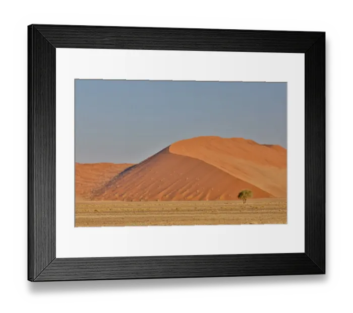 Framed Print : Lone tree and tall sand dune, Sossusvlei, Namibia Framed Print : Lone tree and tall sand dune, Sossusvlei, Namibia